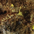 n°163140 - Guilleminite - Liauzin - Olloix - Puy-de-Dôme