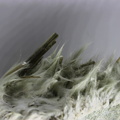 Epidote - Combe de la Selle