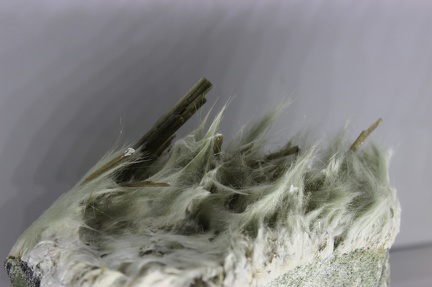 Epidote - Combe de la Selle