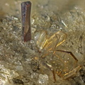 n°197029 - Pseudobrookite Enstatite - Rivière des Remparts -  Saint-Joseph - La Réunion