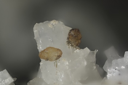 n°197043 - Calcite sur albite - Ravine de Bras Rouge - Cirque de Cilaos -  La Réunion