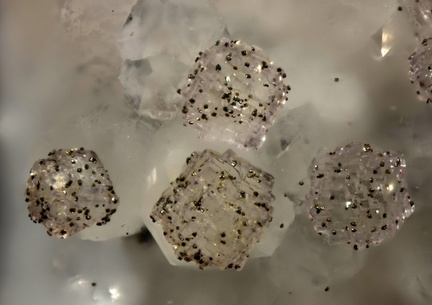 n°103136 - Pyrite sur fluorite - Les Rocs (Carrière) - Buxières-les-Mines - Allier