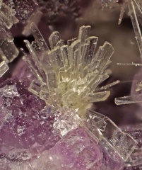 n°103140 - Gypse Fluorite -  Les Rocs (Carrière) - Buxières-les-Mines - Allier