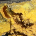 n°163249 - Orpiment - Saint Nectaire -	Puy-de-Dôme
