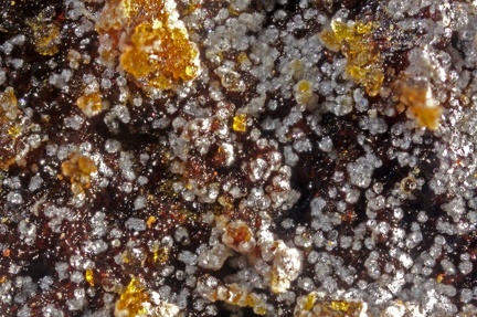 n°181144 - Matulaite - Fumade -	Castelnau-de-Brassac - Tarn
