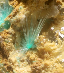 n°183100 - Agardite-(Y) - Cap Garonne (Mine Sud) - Le Pradet - Var