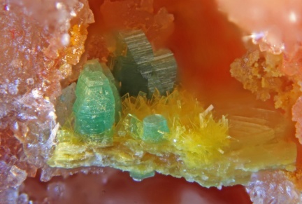 n°183101 - Torbernite Dewintite Autunite -  Le Charbonnier (mine) - Les Adrets de l'Esterel - Var