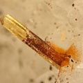 Baryte - La Poype - Vienne - 38