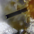 n° 163251A - Augite - Puy de Tunisset (Carrière) - Saint-Ours-les-Roches - Puy-de-Dôme