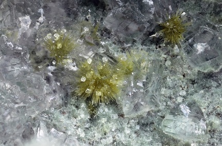 n°197015 a - Prehnite Epidote-Ca - La Chapelle - Ravine de Bras Rouge - Cirque de Cilaos -  La Réunion