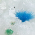 n°111141 - Cyanotrichite - Le Tistoulet 470(mine) - Padern - Aude