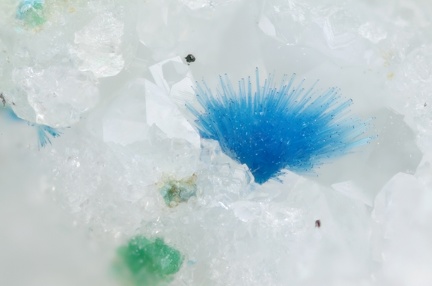 n°111141 - Cyanotrichite - Le Tistoulet 470(mine) - Padern - Aude