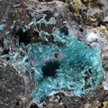n°142098 - Caledonite - Les rats (Mine) - Scories -	Le Crozet -	Loire