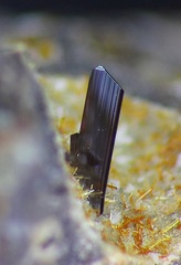 Pseudobrookite - Puy de Tunisset - Pontgibaud - Puy de Dôme