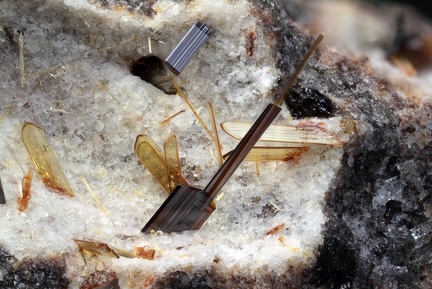  Pseudobrookite - Les Châtelaunoux -  Carrière Mazaye -  Puy-de-Dôme
