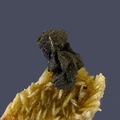  Chalcopyrite Siderite - Carrière du Rivet - Montredon-Labessonié - Tarn