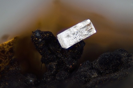 Willemite Goethite- Carrière du Rivet - Montredon-Labessonié - Tarn