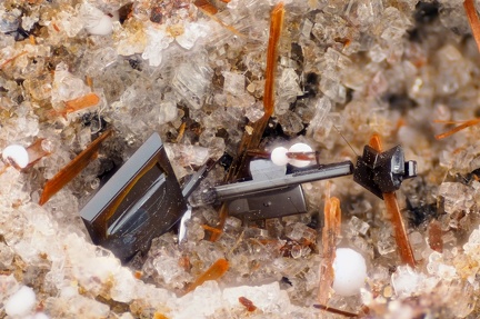 Pseudobrookite Opale  Enstatite Sanidine - La Aljorra - Cartagena - Murcia - Espagne