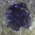 ph05. Fluorine ch3.00mm Carriere de Buxières les mines 03 - Copie.jpg