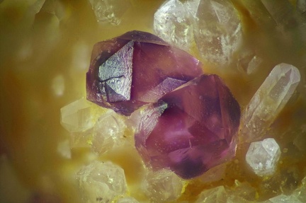 n°103153 - Fluorine - Carrière de Montet - Le Montet - Allier