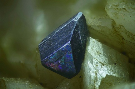 n°134069 - Tetraedrite - Usclas-du-Bosc (carrière) - Loiras - Herault