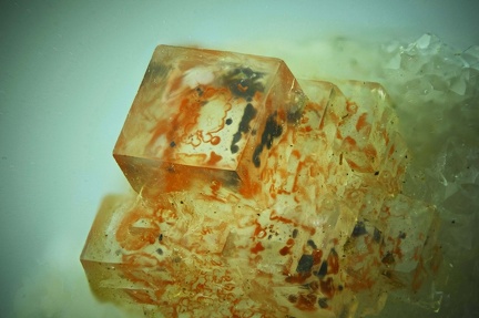 n°171101 - Fluorite à fantômes - L'Argentolle (mine) - Saône et Loire