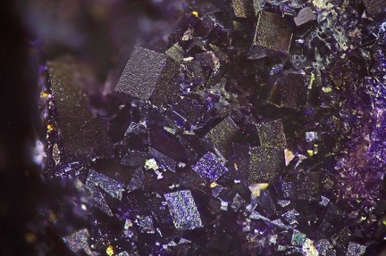 n°187055 - Fluorite var. Antozonite - Charbonnières (Mine) - Lussac les Eglises -  Haute-Vienne