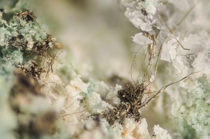 n°112152 - Millerite - La Buscalie - Decazeville - Aveyron