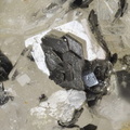 n°183082 - Baryte  Marcasite - Fontsante - Tanneron - Var 