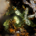 n°181115 - Olivenite  Goethite - Le Franciman(mine) - Paulinet - St-Jean-de-Jeannes -  Tarn