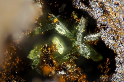 n°181115 - Olivenite  Goethite - Le Franciman(mine) - Paulinet - St-Jean-de-Jeannes -  Tarn