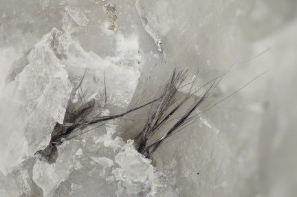 n°187043 - Cosalite - L'Auriéras(mine) - Saint-Yriex-la-Perche -  Haute-Vienne