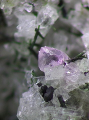 n°115063 - Quartz var.amethyste - Puy d'Augoules (Carrière) - Menet - Cantal
