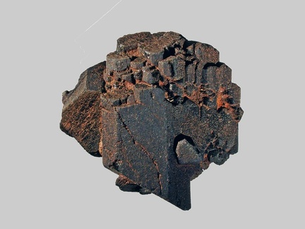 Augite - Coureuges - Haute-Loire - FP - Taille 20mm