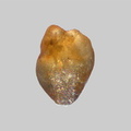 Monazite - Ruisseau Pourri - Beaune-les-Mines - Haute-Vienne - FP - Taille 0,5mm