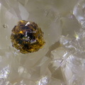 Pharmacosiderite - Les Rompas - Larochemillay -  Château-Chinon - Nièvre