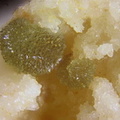Scorodite - Les Rompas - Larochemillay -  Château-Chinon  - Nièvre
