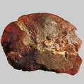 Titanite - Mont Croustet - Ceyssac - Haute-Loire - FP - Taille 15mm