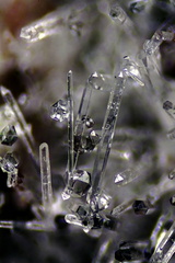 n°183108 - Quartz - Les Trois Termes - Les Adrets - Var