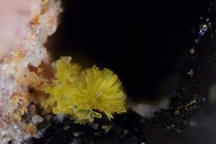 Phosphuranylite - Le Charbonnier - Frejus - Var