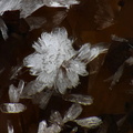 Hemimorphite - Mine St Nicolas - Steinbach - Haut-Rhin