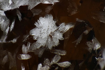 Hemimorphite - Mine St Nicolas - Steinbach - Haut-Rhin