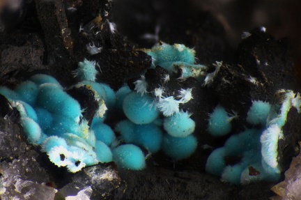 Rosasite - Mine St Nicolas - Steinbach - Haut-Rhin