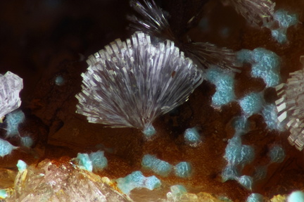Hemimorphite Rosasite - Mine St Nicolas - Steinbach - Haut-Rhin