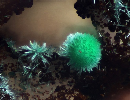 Malachite - Champ Brêcheté -  Urbeis - Bas-Rhin