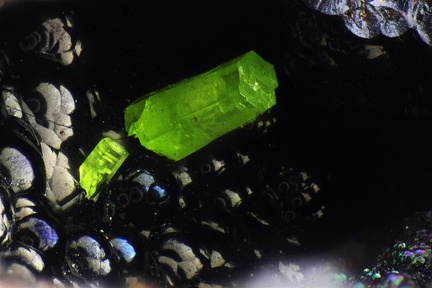 Pyromorphite Goethite - Champ Brêcheté - Urbeis - Bas-Rhin