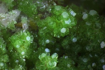  Pyromorphite Wulfenite - Champ Brêcheté - Urbeis - Bas-Rhin