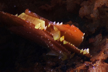   Wulfenite - Champ Brêcheté - Urbeis - Bas-Rhin