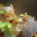  Wulfenite Pyromorphite - Champ Brêcheté - Urbeis - Bas-Rhin