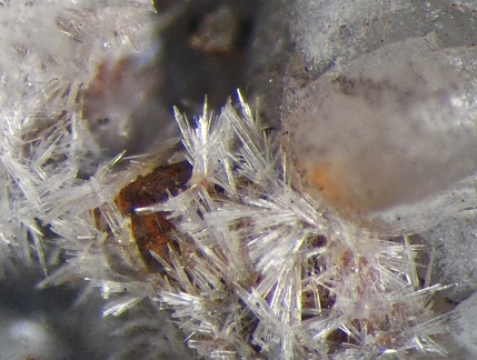 n°105017- Aragonite - L'Argentière - Laragne-Montéglin - Hautes-Alpes